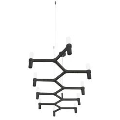 Nemo Crown Plana Linea