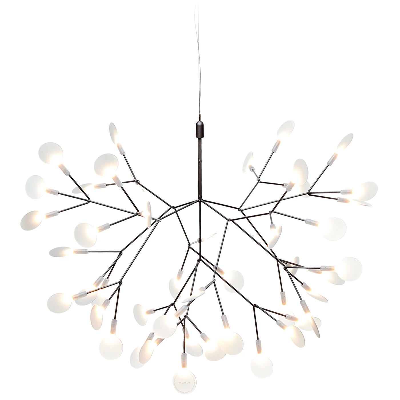 Moooi Heracleum III Small 3 Moooi Heracleum III Small