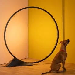 Artemide "O" Floor Indoor -Artemide Store 002 Artemide O Floor indoor ambient2 a17b8560c778dc53b94a8fa032ff6b9e