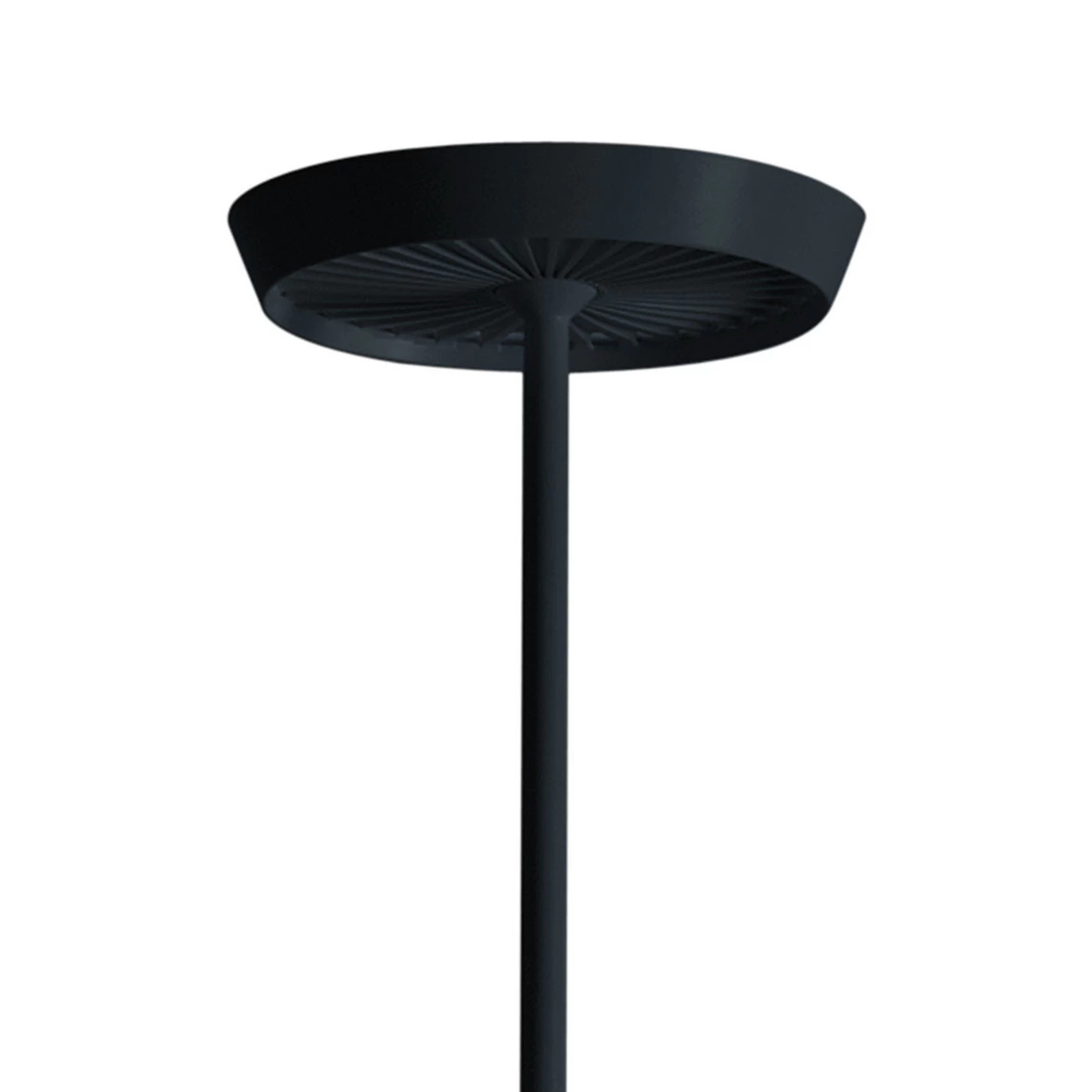 Rotaliana Prince F1 6 Rotaliana Prince F1 – Bild 4