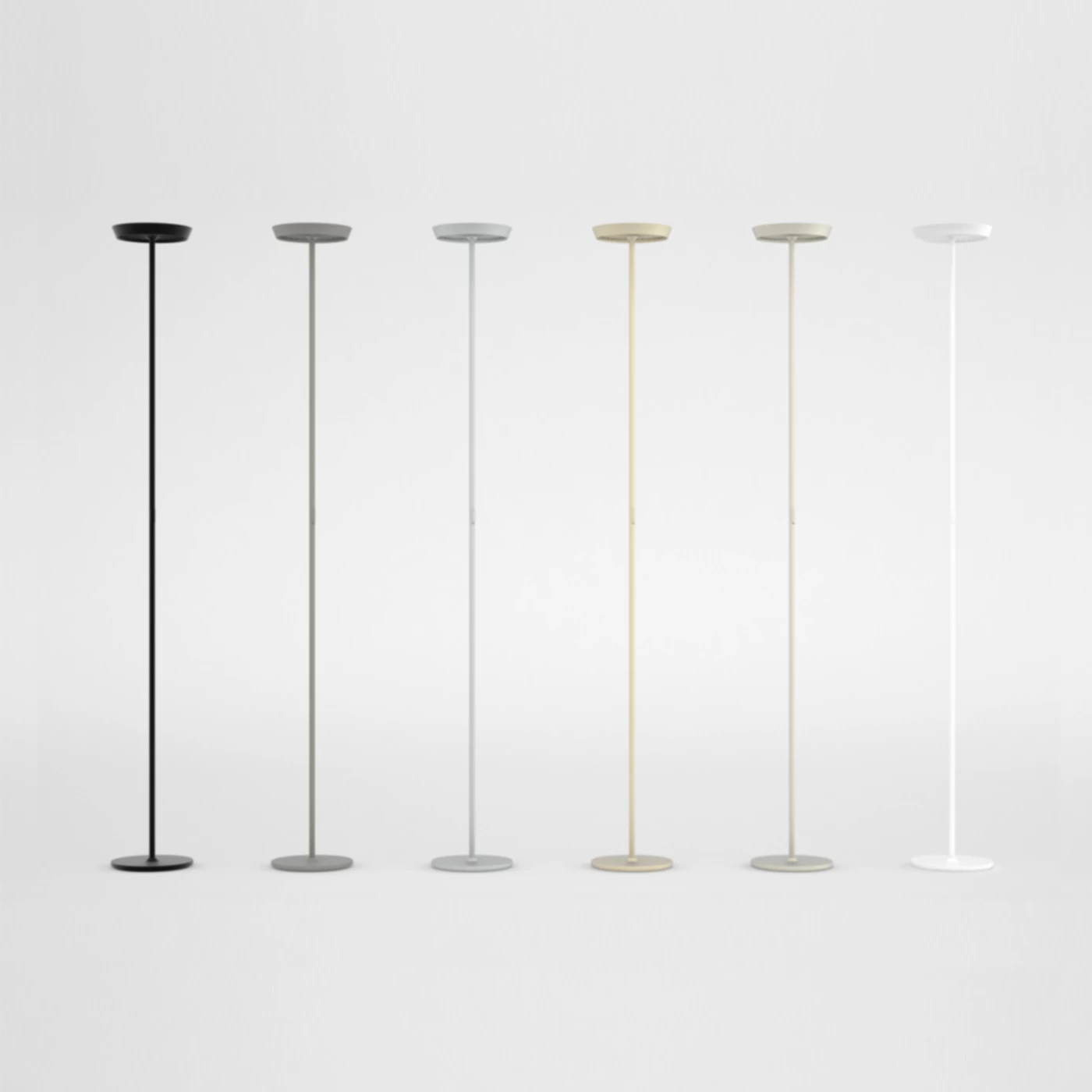 Rotaliana Prince F1 7 Rotaliana Prince F1 – Bild 5