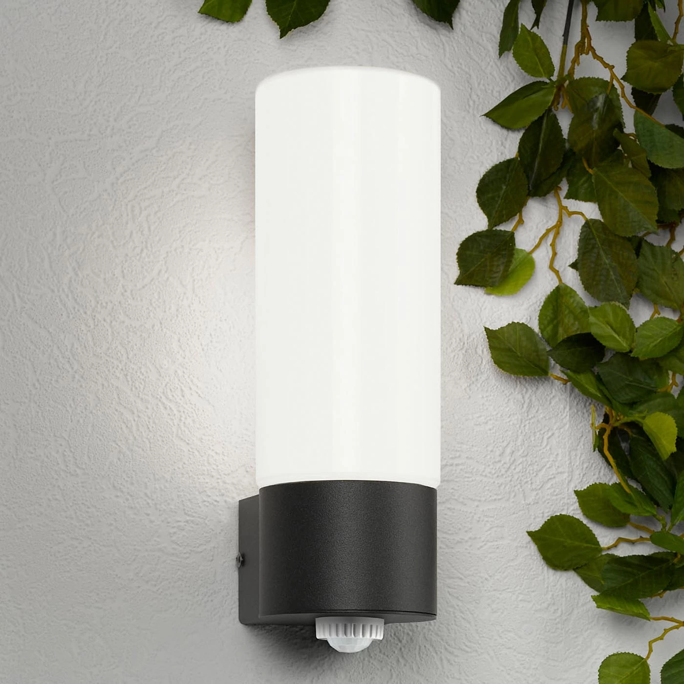 CMD Aqua Wall Wandleuchte 6 CMD Aqua Wall Wandleuchte - Image 4