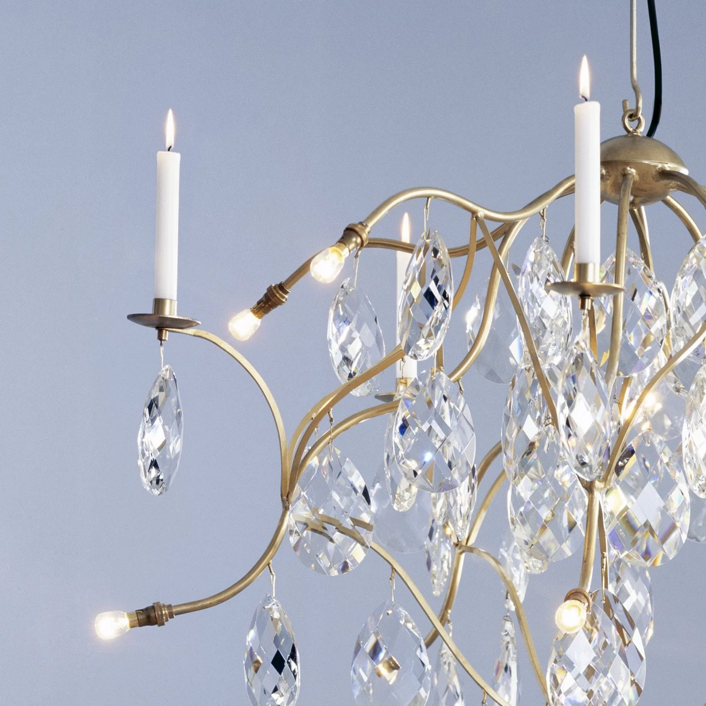 Anthologie Quartett Jahreszeiten Eiszeit 90 8 Anthologie Quartett Jahreszeiten Eiszeit 90 - Image 6