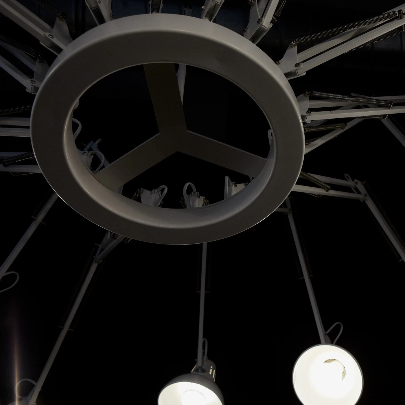 Moooi Dear Ingo 10 Moooi Dear Ingo – Bild 8