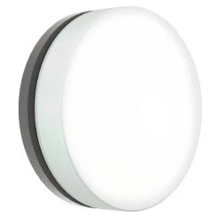 Albert Wand-/Deckenleuchte Typ 6309