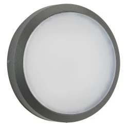 Albert Wand-/Deckenleuchte Typ 6420